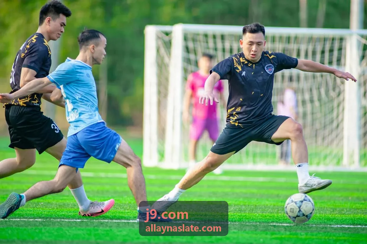 j9.com 主题资料专题内容